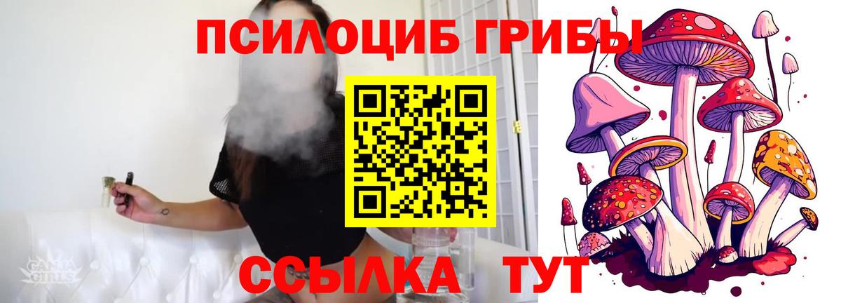 Элиста  Галлюциногенные грибы Cubensis  Вход с VPN 